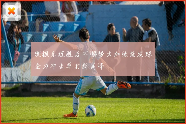 樊振东连胜后不懈努力加练接发球全力冲击单打新高峰